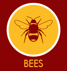 Bees